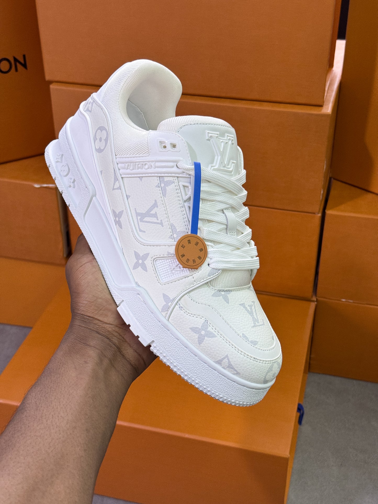 LV TRAINER